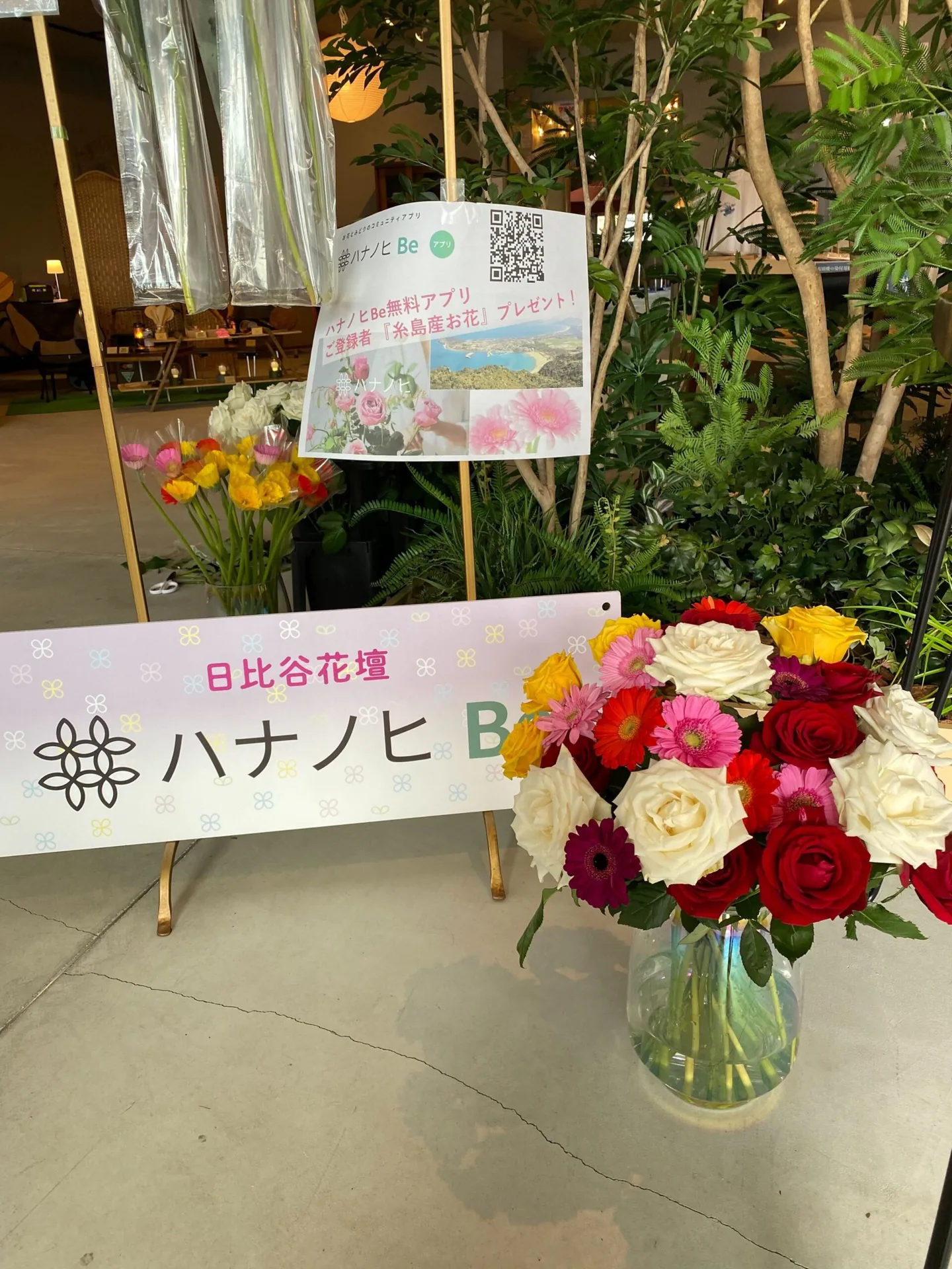 アリセラレータマルシェ