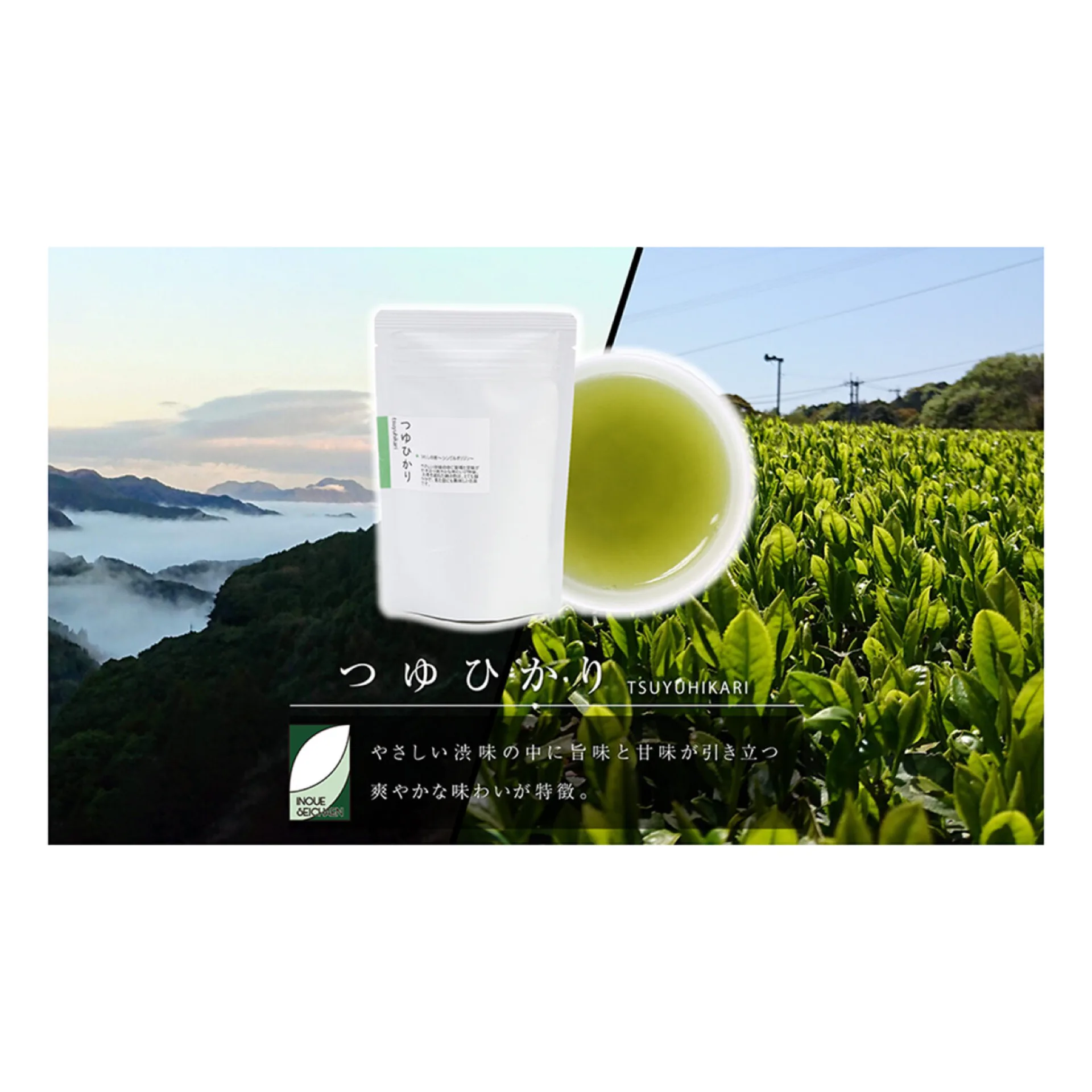 井上製茶園