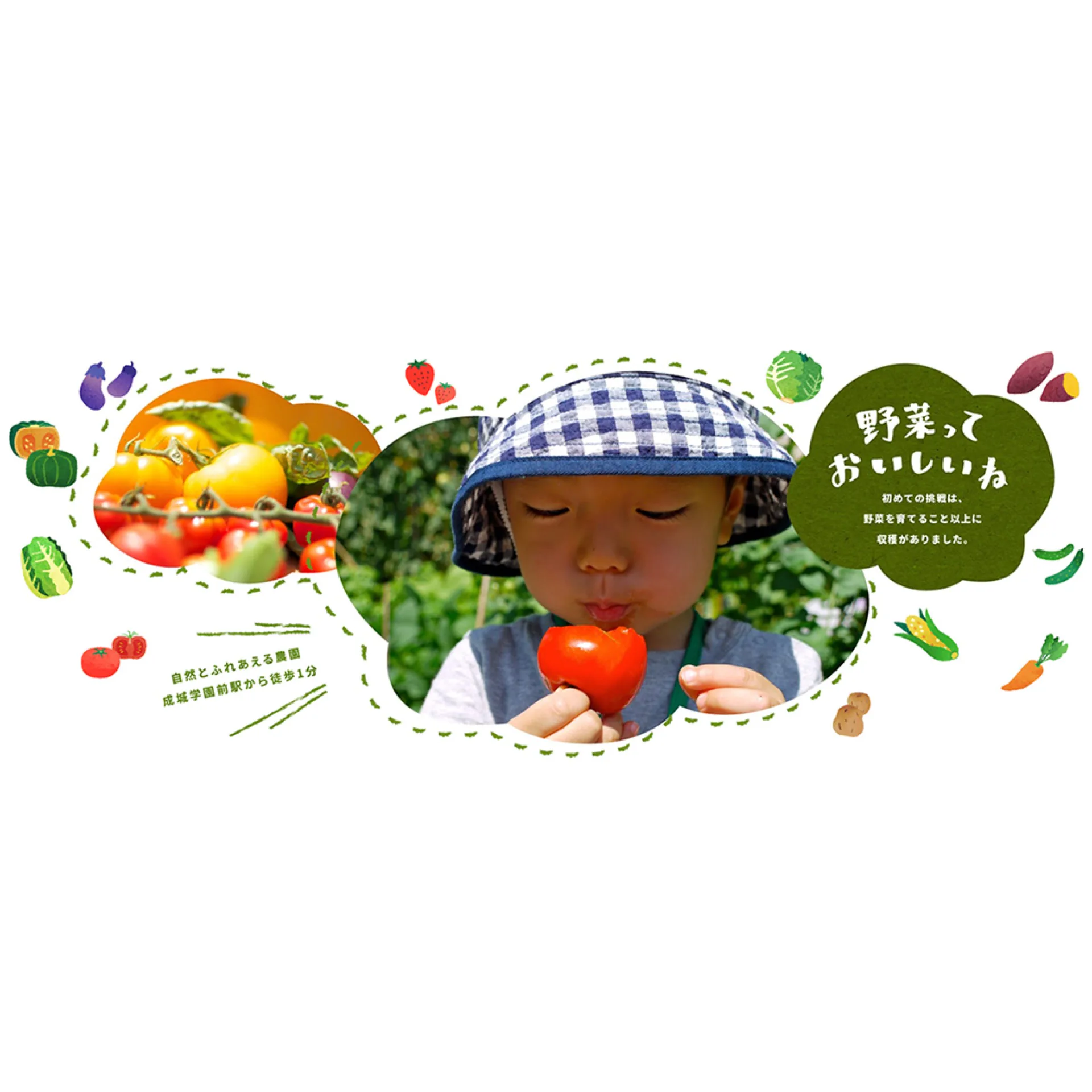 アグリス成城