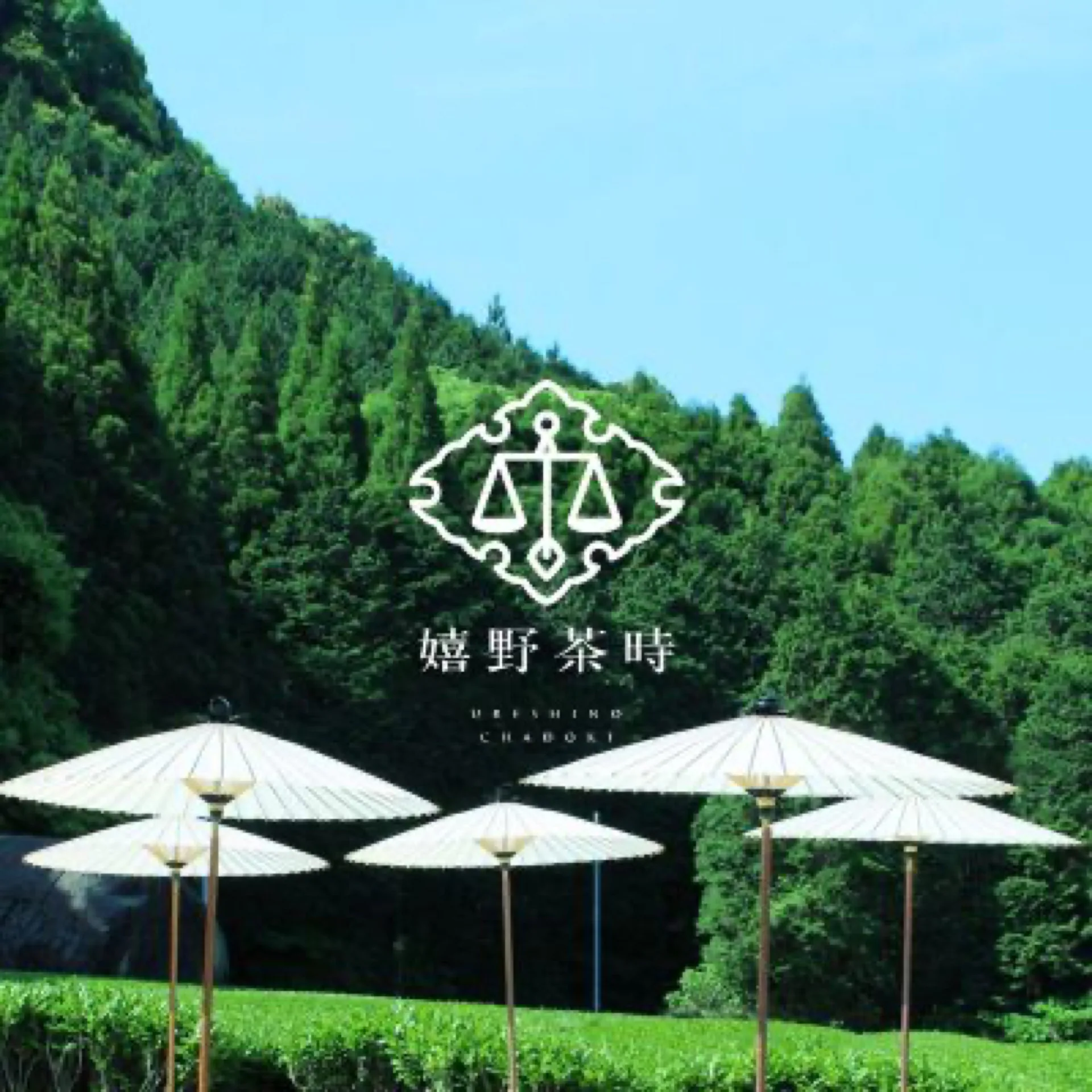 「嬉野茶時」プロジェクト支援